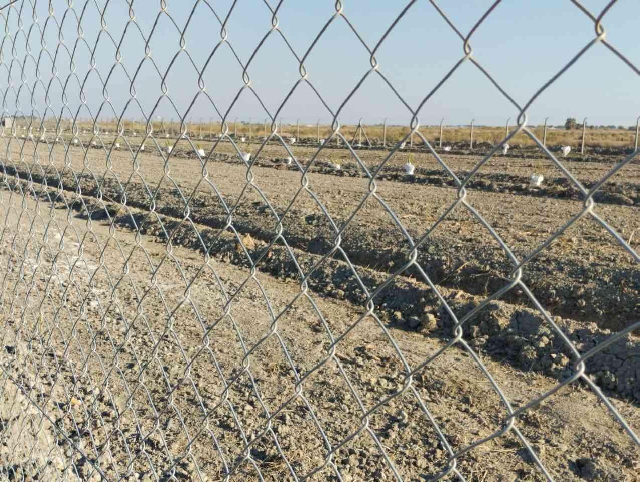 بسم الله الرحمن الرحيم 
5 دوانم زراعيه للبيع 
صوب بني ركاب 
قرب بعير
ماي مستمر
 الكاع بين نهرين 
وجه الكاع 55ونزال 250
السعر على الخاص 
للتواصل الاتصال على الأرقام 
الموجوده بالاعلان 
***********
***********
او مراسلة الصفحة 
#هادي_الحجيمي
