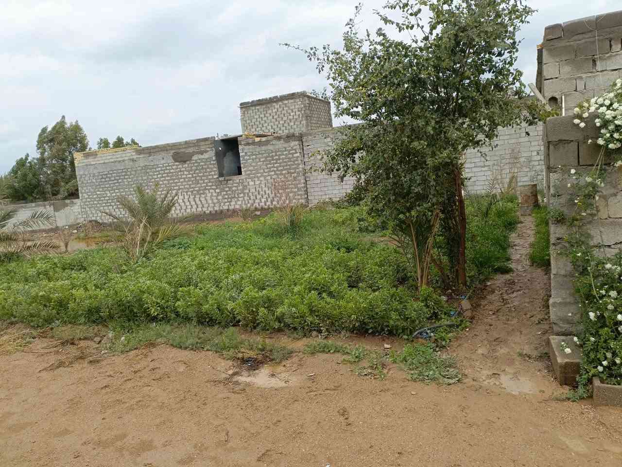 قطعه ارض للبيع مساحه 650 متر + مشتمل قرب شركة ببسي بغداد وكلية طيبه ***********
***********
