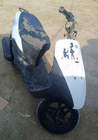 دراجة • نضيفه • مجر الكبير