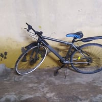 باسكل جبلي • للبيع • السعر خاص