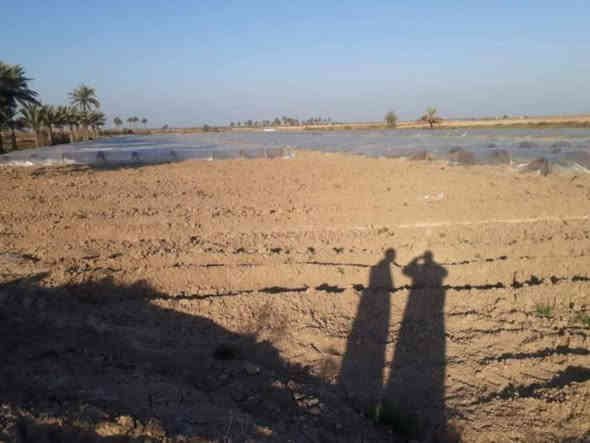 السلام عليكم كاع البيع 14 دونم المكان في الحله المكان  طريق شركة  الرنه
قرية الخماسيين
يم العلويه صويله 
التفاصيل على الرقم الخاص 
***********
