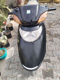 سبيسي ياباني • ناعم عالسحك • شلعة فول