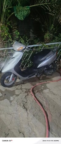 عصفوره • مفتوح • هندر سلف