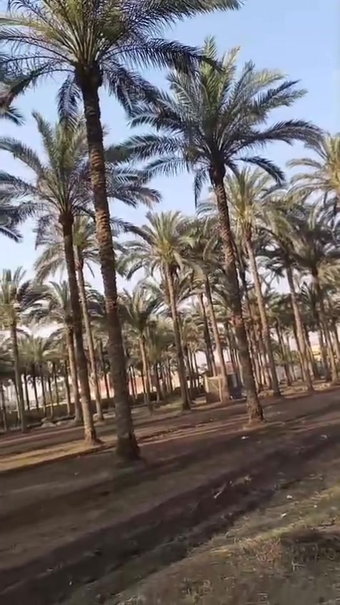 بسم الله مشاء الله يوجد للبيع 2 قطعه 3 قيراط وقطعه 8 قيراط شارع 7 متر من الرئيسي ترعة المنصوريه ميدان الصليبه وجهة القيراط علي الشارع 8 متر حوالي 100 متر من الرئيسي ترعة المنصوريه 15 دقيقه من القريه الذكيه وداندي مول الشيخ زايد ارض مالك نهائي مسجله شهر عقاري تصلح لأي نشاط ومتاح أيضا فيلل وقصور اراضي ومزارع واستراحات مساحات خضراء جميع المساحات والاسعار /لتواصل فون او وتساب 01008472516/01144003430


**إذا كنت صاحب هذا الإعلان وتريد حذفه لأي سبب، رجاءا أرسل رسالة إلى الدعم الفني**