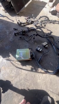 ظفيرة كير • سوناتا تو • الفلوجه