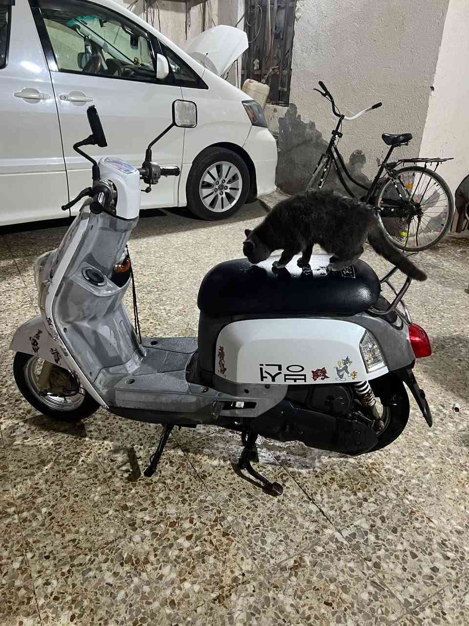 سلام وعليكم ماكس بوليس برغي مامفتوح بيها تعال وفحص مكاني  فيحاء غرب جسر خالد شراي يجي خاص


**إذا كنت صاحب هذا الإعلان وتريد حذفه لأي سبب، رجاءا أرسل رسالة إلى الدعم الفني**