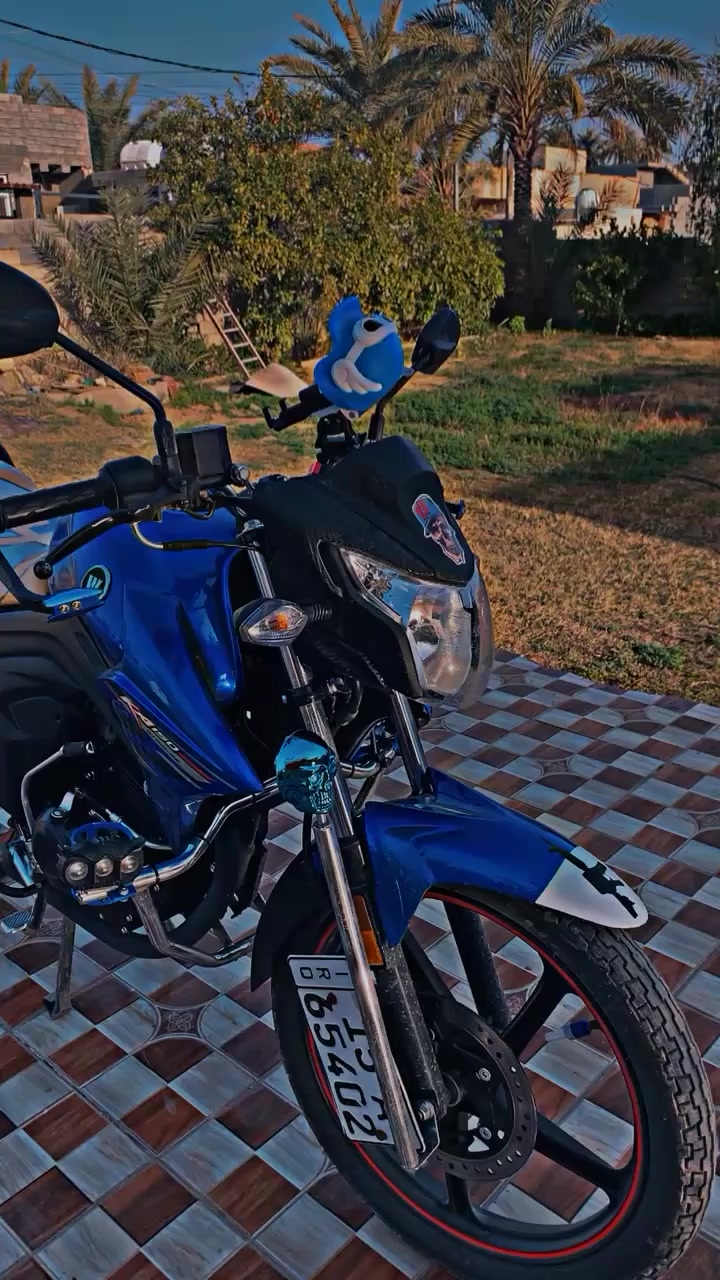 هاوجي ازرك مكفوله ومسجل تحويل ثاني يوم ب اسمي اريده مرواس بهاوجي اخضر او دي اف اخضر حتلو يريد فرق قليل انطيه ماكو مشكله الي يريد هاذه رقمي بيه بس واتساب ***********
