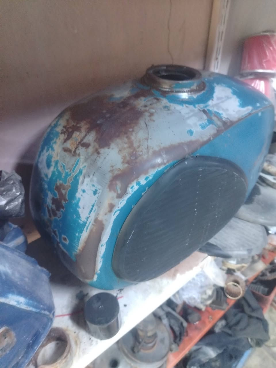 كشر بلادي للبيع *********** نجف ابوصخير توصيل ماعندي
