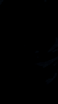 كامري موديل 2024 /SE تحكمات ستيرن شفتات ستيرن رقم نينوى معوقين   كشانه جلد تحديد مسار تحديد سرعه كامره خلفيه رادارات تخم تاير جديد لايت زينون دخول جديد ))(السعر ٢١٠ وبيها مجال
الاستفسار الاتصال أو المراسله على رقم هاذا ***********
