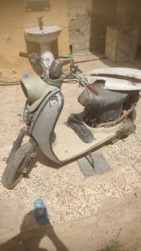 مصريه • عوزها تنضيف • كابريته