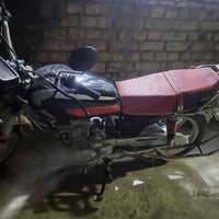 ايراني 5 كير • اوراق كاملة • واسط الشجيرية