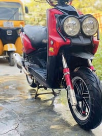 سكنس جبلي • اغراض اصلي • بابل