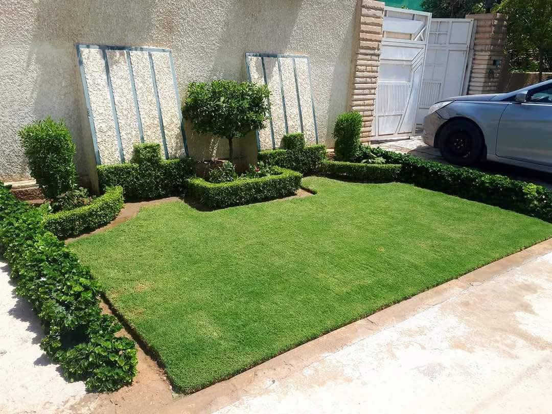 السلام عليكم من رخصت الادمن أعمل فلاح حدائق تنظيف وتزبير وترتيب حدائق إلتزام حدائق  شهريه اتصال واتساب ***********
