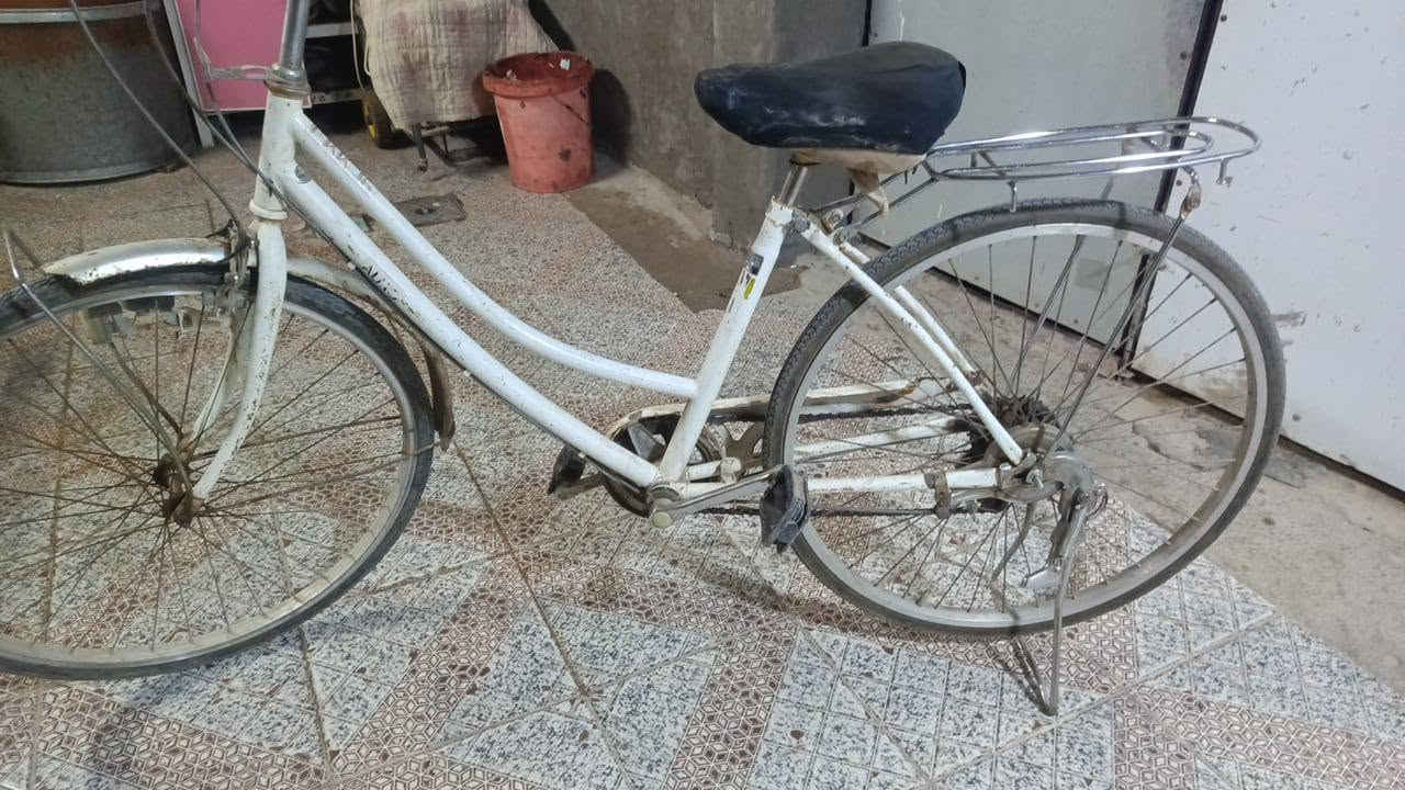 باسكل للبيع حجمه 26 كامل مكمل بريكات امامي خلفي ماناقصه شي سعره 60 بي مجال


**إذا كنت صاحب هذا الإعلان وتريد حذفه لأي سبب، رجاءا أرسل رسالة إلى الدعم الفني**
