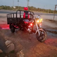 ستوته • مديل ١٤ • اوراق أصولي