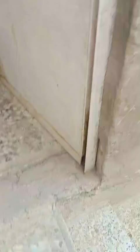 شقه للايجار حي المهندسين الشارع المقابل مجمع بيوتي ومجمع الكفيل 
مبلغ الإيجار 250الف 
الاتصال***********
