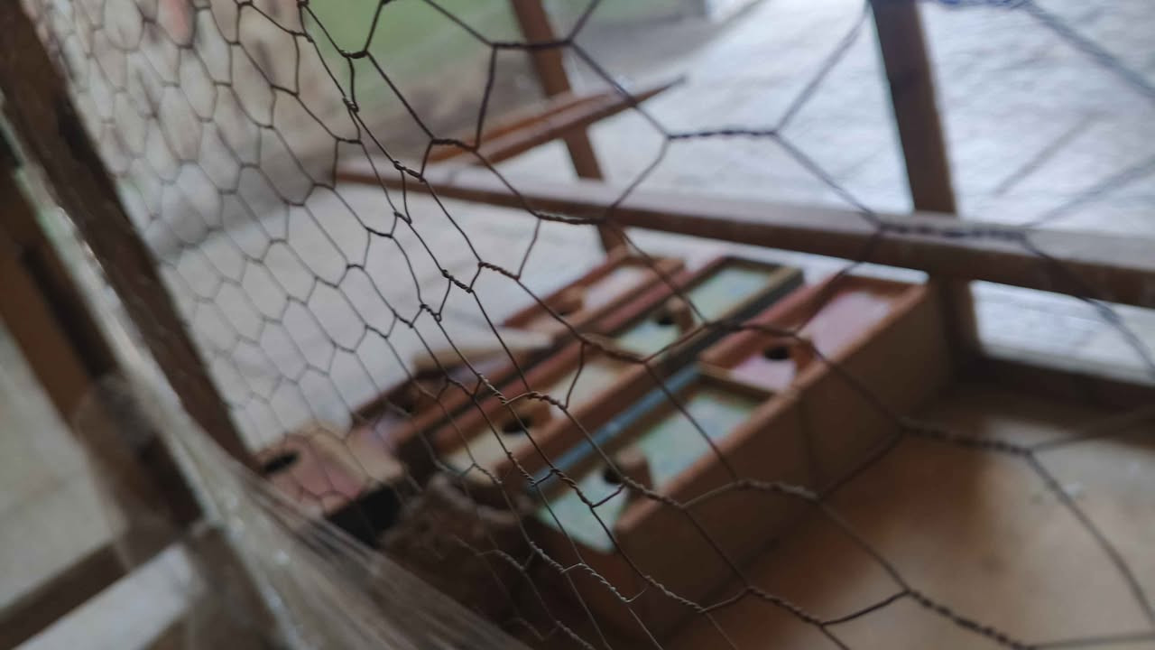 السلام عليكم
قفص للبيع الارتفاع 90االطول 80العرض 60 وياه 8بقالات مال طيور حب  شوف واقتنع  يله تجي السعر 40وبيه مجال قليل هاذا رقمي ***********يوجد واتساب المكان حله قرب جسر نادر Singapore
