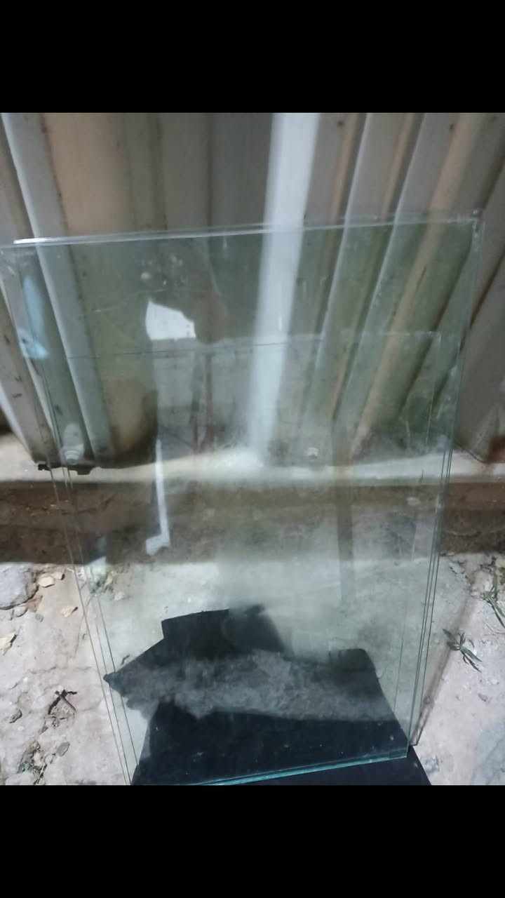 للبيع المكان بغداد الشعب(كاونتر+ماطور مبرده شغال+جام)(راسل الخاص و تدلل )


**إذا كنت صاحب هذا الإعلان وتريد حذفه لأي سبب، رجاءا أرسل رسالة إلى الدعم الفني**