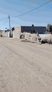 زراعي • ٣٠٠م • طريق ياحسين