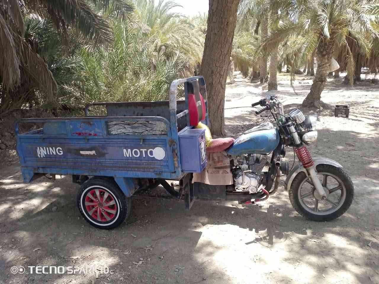 عمي سلام عليكم ستوته جمره فحل للبيع ستوته خير من الله كلشي ماتب عليه توه المحرك مشدود 1٫400وبيه مجال الطيبين انتصر وبيك خير ***********
