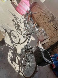 باسكلين • ياباني أصلي • ٢٧ و ٢٦