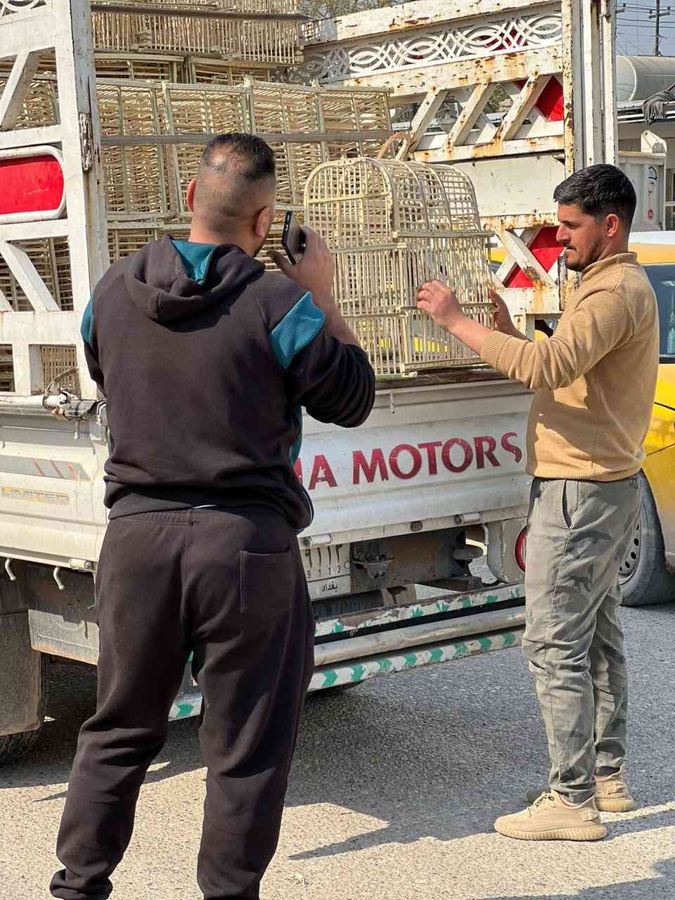 اتوفرت اقفاص خوص عراقي وعود صيني حجم كبير وصط وزغير العنوان سامراء تقاطع الحداحده قرب محلات الطيور يم فوزي اب أبو العباس السامرائي وعلي السلاوي @AIiAbduIah


**إذا كنت صاحب هذا الإعلان وتريد حذفه لأي سبب، رجاءا أرسل رسالة إلى الدعم الفني**