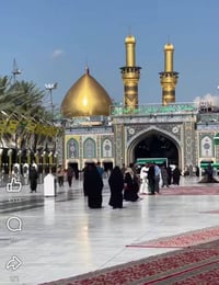 كربلاء • زيارة اولاد مسلم • المسيب ٣ظهراً