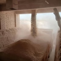 اخويه اذا تحتاج جص الجزيره او النجف مع العمال والكواني فوك جوه خابر وب...