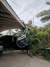 نجف كوفة • بايسكلين زيتوني • بايسكلين ابيض