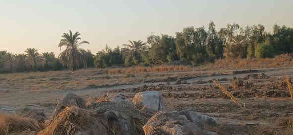 دوانم للبيع طابو ملك صرف
تحويل ثاني يوم
بغداد طريق سياحي
تبعد عالشارع السياحي خمس دقائق
قرب جسر جواد البشو
 تفاصيل  اكثر *********** 
لا مكتب ولا دلال لكاع بسمي اني
