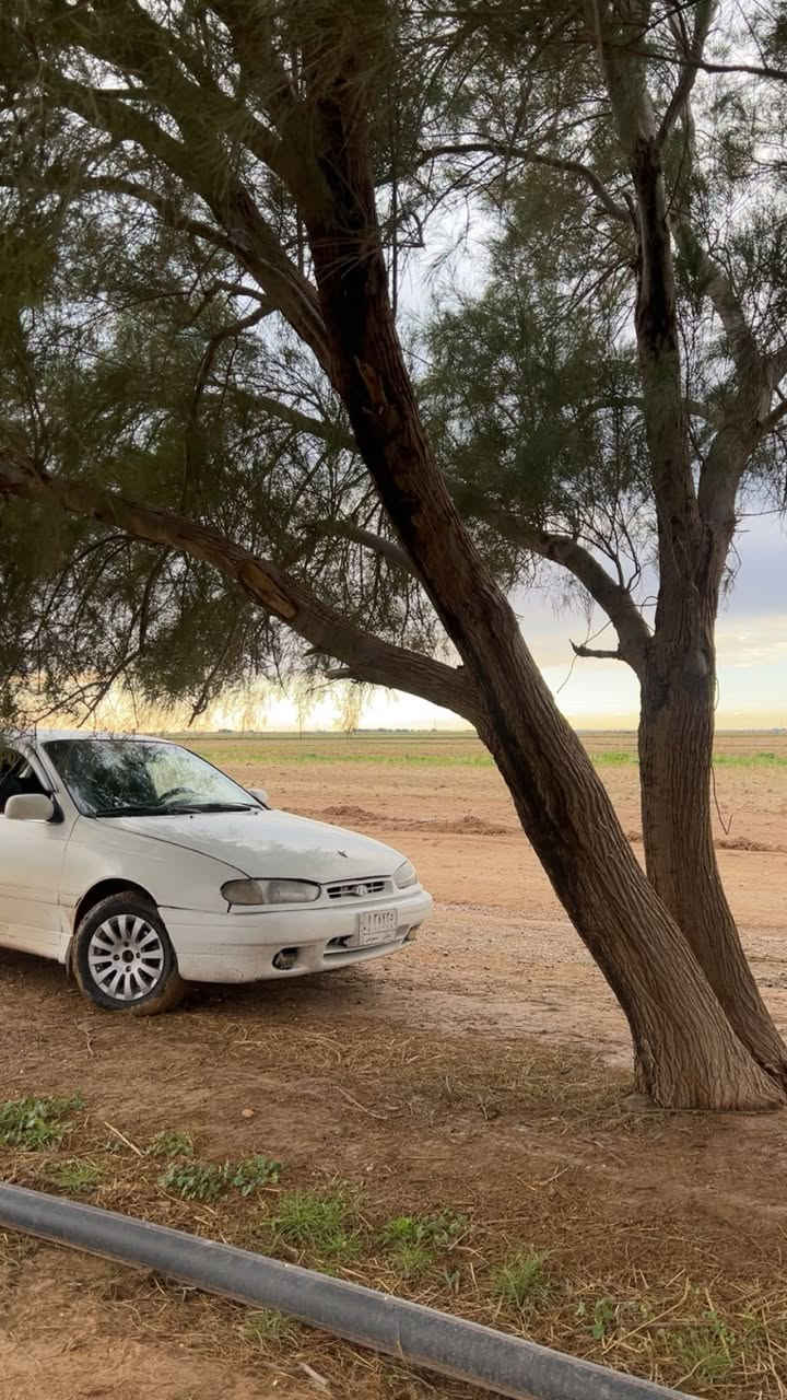 السلام عليكم للبيع النترا موديل 94 سياره جاهزه ما ناقصها كلشي ***********
