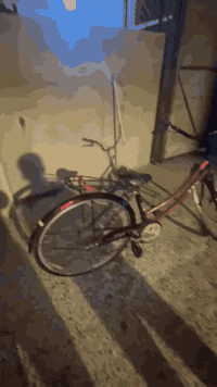 باسكل للبيع حجم 26 الون ماروني بريك خلفي عكرب ٦نمر السعر ٦٠ وبيه مجال ...