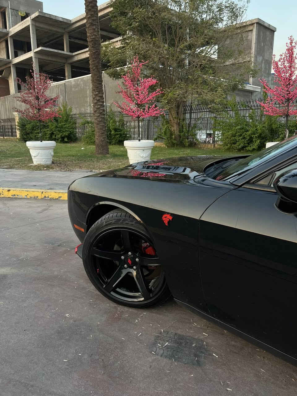 🔹الي يدور جالنجر نظيف وبدون ايرباكات كله سليم وكير محرك تبريد كفاله واذا معجبتك ولا عجبك السعر اعبرها وفدوه الك وربي يرزقك بالاحسن الكلمه الطيبة تكفي
🔹الحلوه للبيع 🖤❤️‍🔥
🔹جالنجر sxt موديل 2017
🔹بجم كبس
🔹 محرك 6 سلندر
🔹شاشه حجم كبير
🔹بدون ايرباكات كله سليم
🔹كير محرك تبريد كفاله
🔹مواصفات الـ sxt المعروفه 
🔹 انارة محيطية داخلية متغيرة
🔹 الجنطة بصمة 
🔹 كرسي سايق كهرباء
🔹 دواخل نظيفة جداً بالكامل
🔹منظومة زينون
🔹بيها فقط جاملغ جهة السايق 
🔹 كتلوكاتهة الكاملة داخل الحقيبة والcd مال سيارة بعده بغلافة ممفتوح 
🔹السيارة رقم اربيل ب اسمي تحويل مباشر
🔹السيارة نظيفة جداً واجمل من الصور استعمال شخصي وعلى ايدي وعليها ادامه كامله 🖤
🔹السعر 169 وبيها مجال بسيط
🔹العنوان / بغداد البياع شارع 20
للاستفسار التواصل :
واتساب فقط : ***********
رصيد فقط : ***********
