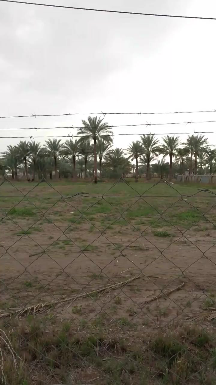 كاع زراعيه للبيع مساحه دونمين تحويل دونم وربع العنوان بابل محاويل مقابل بيت ابو  طياره ***********
