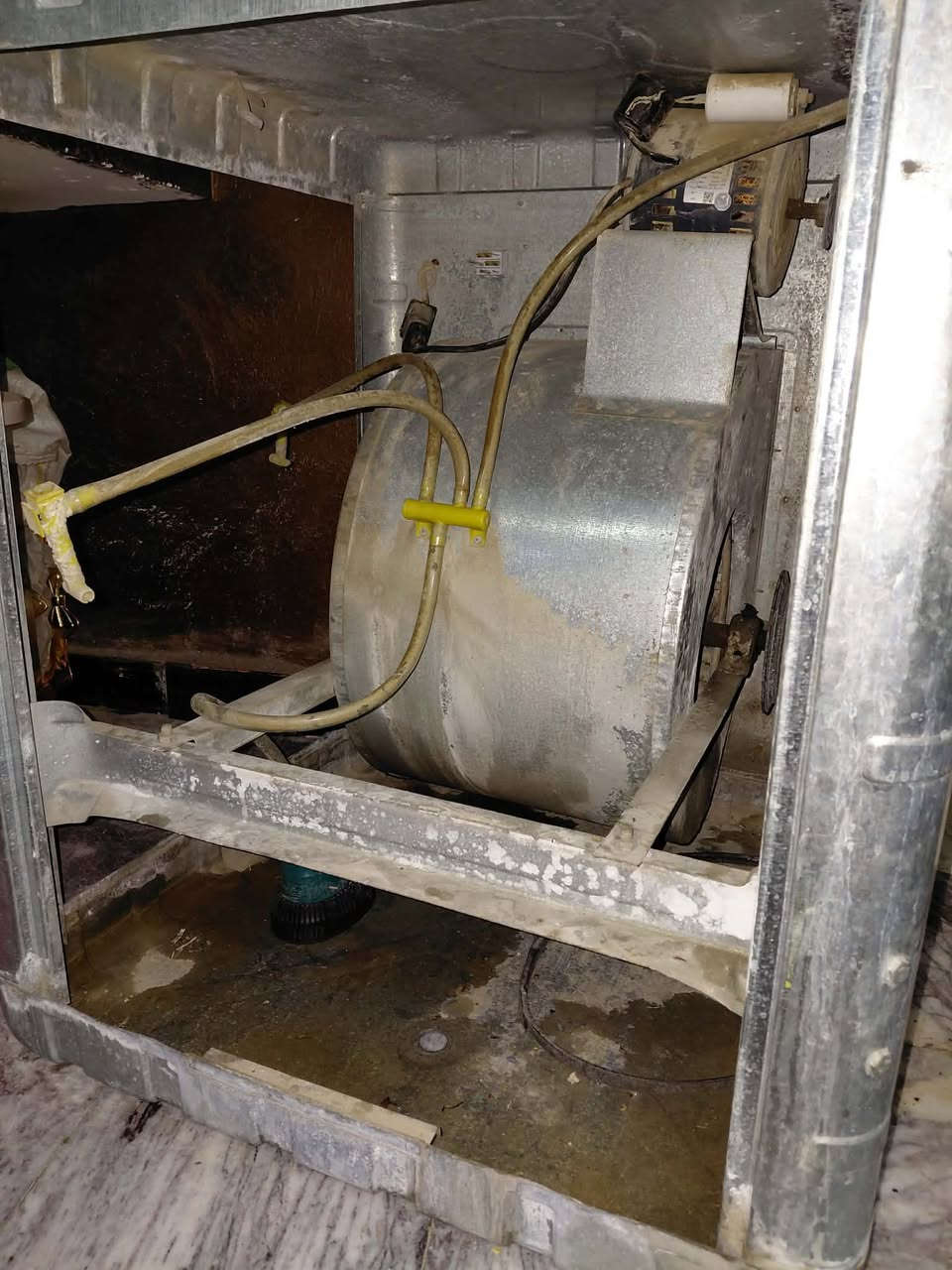 مبرده رايديها ب ٧٥ وبيه مجال بسيط
قلايه حجم 6ونصً لتر للبيع رايديه35 وبيه مجال بسيط 
مليكانه مثل صور اذ ويا رنكلايت قفل ٤٠. واذ كل وحده وحد المليكان ب ٢٥ ورنكيلرت ٢٠
مكاني كاضميه ولايوجد توصيل


**إذا كنت صاحب هذا الإعلان وتريد حذفه لأي سبب، رجاءا أرسل رسالة إلى الدعم الفني**