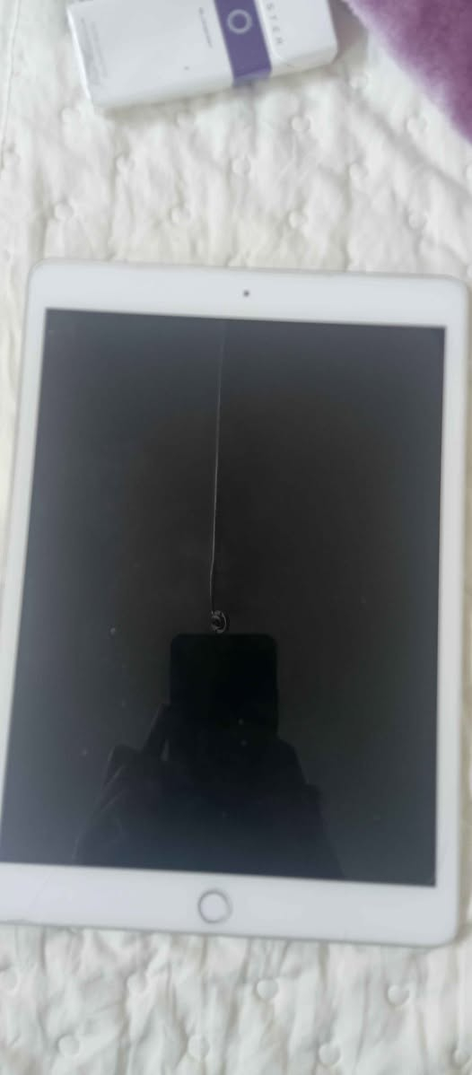 ايباد 8 ذاكر 128 Singapore


**إذا كنت صاحب هذا الإعلان وتريد حذفه لأي سبب، رجاءا أرسل رسالة إلى الدعم الفني**