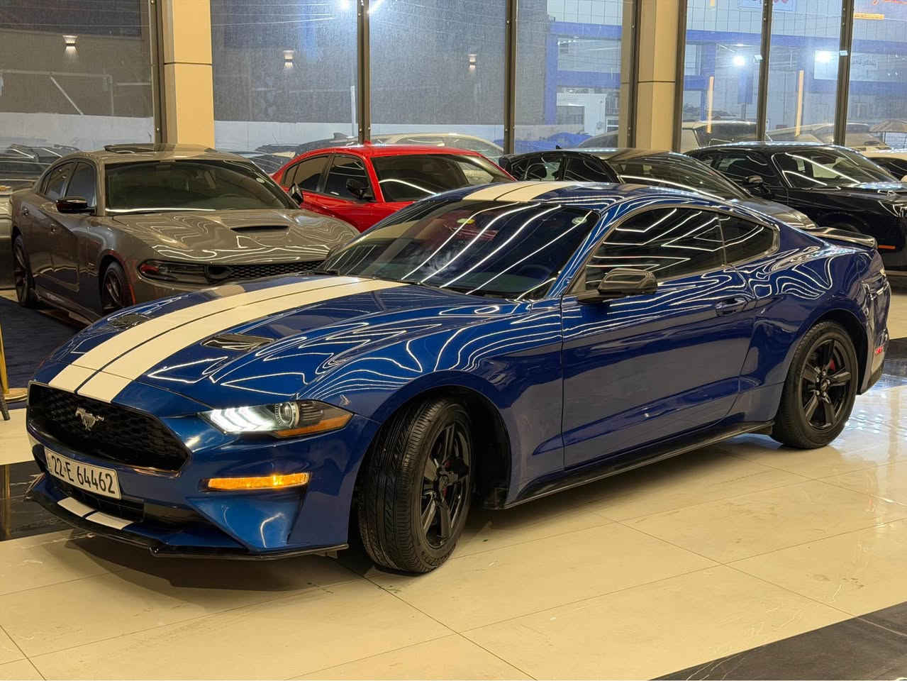 mostang ecobost premom 2018
كوردي عوربي
سةيارةيةكي زور جوان و بي مةسروف 
هيج كيشةيةكي نية گير و مةكينة و هةموو شتي بةشرتة 
٤ پستوني توربوةية مةكينةي بي حةيبة نةكرايتةوك سةنةوي نوية ٦٠,٠٠٠ مايل روشتوة
٣ بارجةي لاي سايةقي نيو جاملخ لاي سةكني سبوخة  بةبي ناو گرتن و ارباك 
شاشة گةورة و كوشن سارد و گةرم زور مواسةفاتي تر
شوين هةولير
‏Ⓜ️0750 369 9092
سعر 137$$   مةحامةلة 

سيارة حلو بدون مصرف مابيها حيب ما احتاج شي 2018
كير محرك كهربائي مكفولة بشرت مابيها حيب 
فول فول مواصفات 
محرك ٤ توربو 
سنوية جديد ماشي ٦٠ الف مايل
بيها ٣ قطع سبخ و نص جاملخ كلير 
 بدون دواخل بدون ارباك 
سيارة شاشة كبيرة و كشن بارد و حار بعد بيها هواية مواصفات…
تحويل غرامة بشرت 
مكان السيارة اربيل 
‏Ⓜ️0750 369 9092
سعر137$  بي مجال أربيل, العراق
