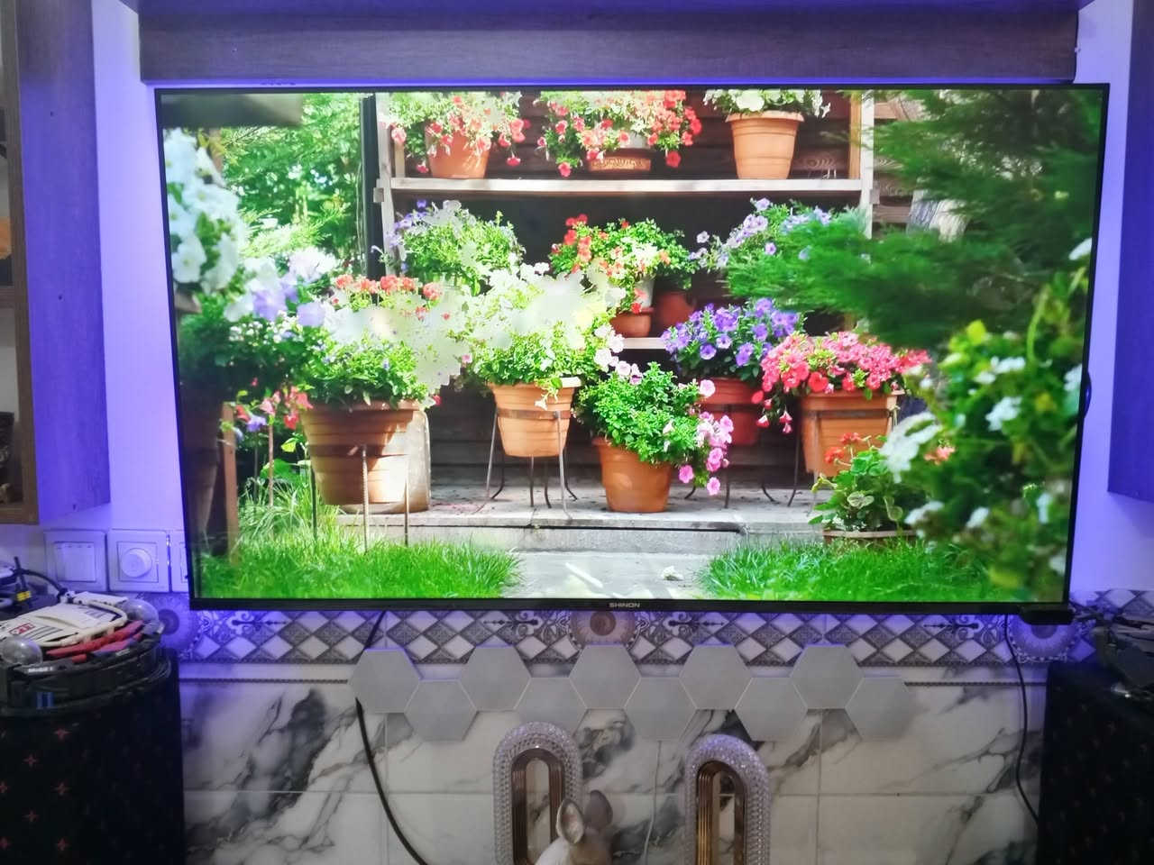 شاشه شينون حجم ٥٠ بدون إطار سمارت انترنيت فول مواصفات استعمال شهر


**إذا كنت صاحب هذا الإعلان وتريد حذفه لأي سبب، رجاءا أرسل رسالة إلى الدعم الفني**