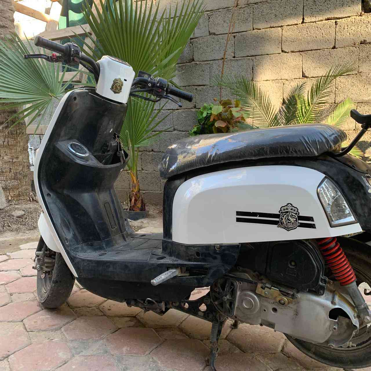 ماكس بوليس للبيع نوزل بلادية ٥٥٠ وبيهة مجال


**إذا كنت صاحب هذا الإعلان وتريد حذفه لأي سبب، رجاءا أرسل رسالة إلى الدعم الفني**