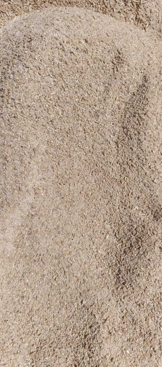 حنطه مجروشه من يرغب بل شراء الكميه مفتوحه شكد رايد حاضرين ***********
