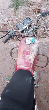 ثيومه • مكفولة من سرقة • الكوت انوار الصدر