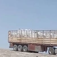 للبيع صفاحيات  اتصال  07809046093