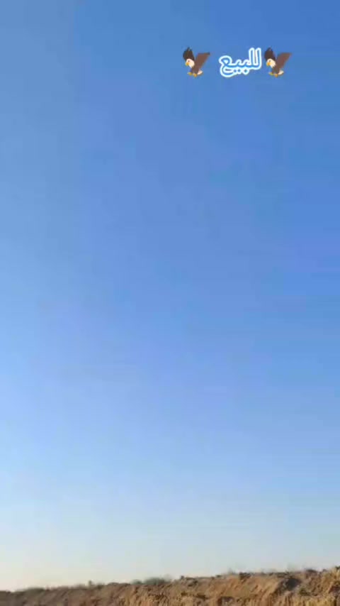 سلام عليكم
ستوته للبيع السعر خاص وذا اكو مراوس عادي


**إذا كنت صاحب هذا الإعلان وتريد حذفه لأي سبب، رجاءا أرسل رسالة إلى الدعم الفني**