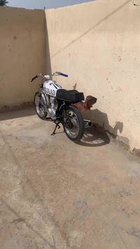 دراجة • شاصي ١٧ • اوراق