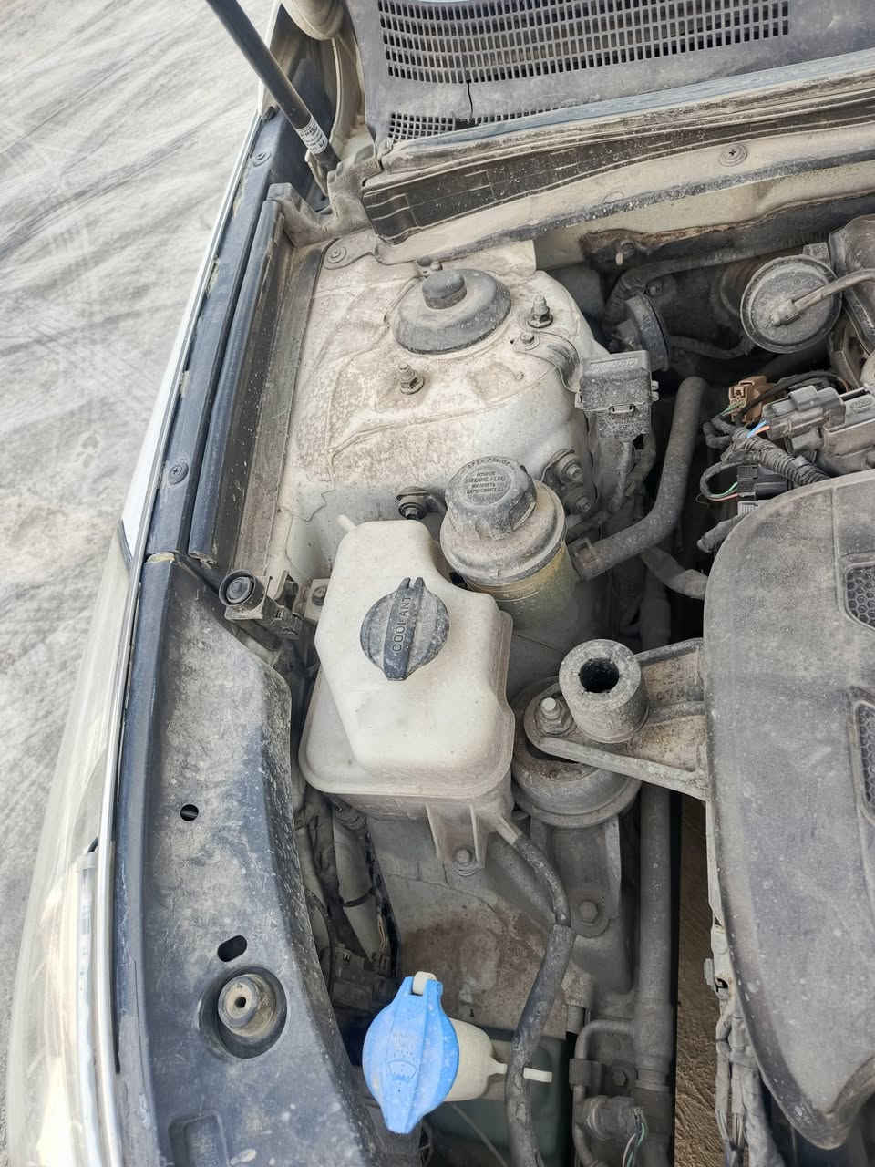 مراوس فقققطط!!!
هونداي ازيرا 
موديل 2013
لون ابيض 
محرك : 6v 
رقم اربيل جديد ✅ 
شرط التحويل 
تبريد ثللج 🥶 
تدفئة نااار 🥵 
المواصفات : 
كير توماتيك 
جامات كهرب 
تحكمات استيرن 
كشنات كهرب 
اشاير بالمري 
اشاير ترحيب 
ويل كروم اسود 
هنبريك رجل 
شاشة كبيرة 
كشنات هيترر 
وبعد بيها مواصفات معروفة الازيرا .......
‼️ الضرر ‼️
بيها مكانتين بارد + نص جاملغ الكدام اليمين صبغ ( شرط ) بدون دواخل نهاااائي!!! 

📌 للاستفسار الاتصال على الارقام التاليه : 
*********** اسيا 
*********** كورك 
* ملاحضة : " رقمي الاسيا " بي واتساب ✅ 👍
