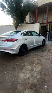 النترا • ٢٠١٧ • الكوت