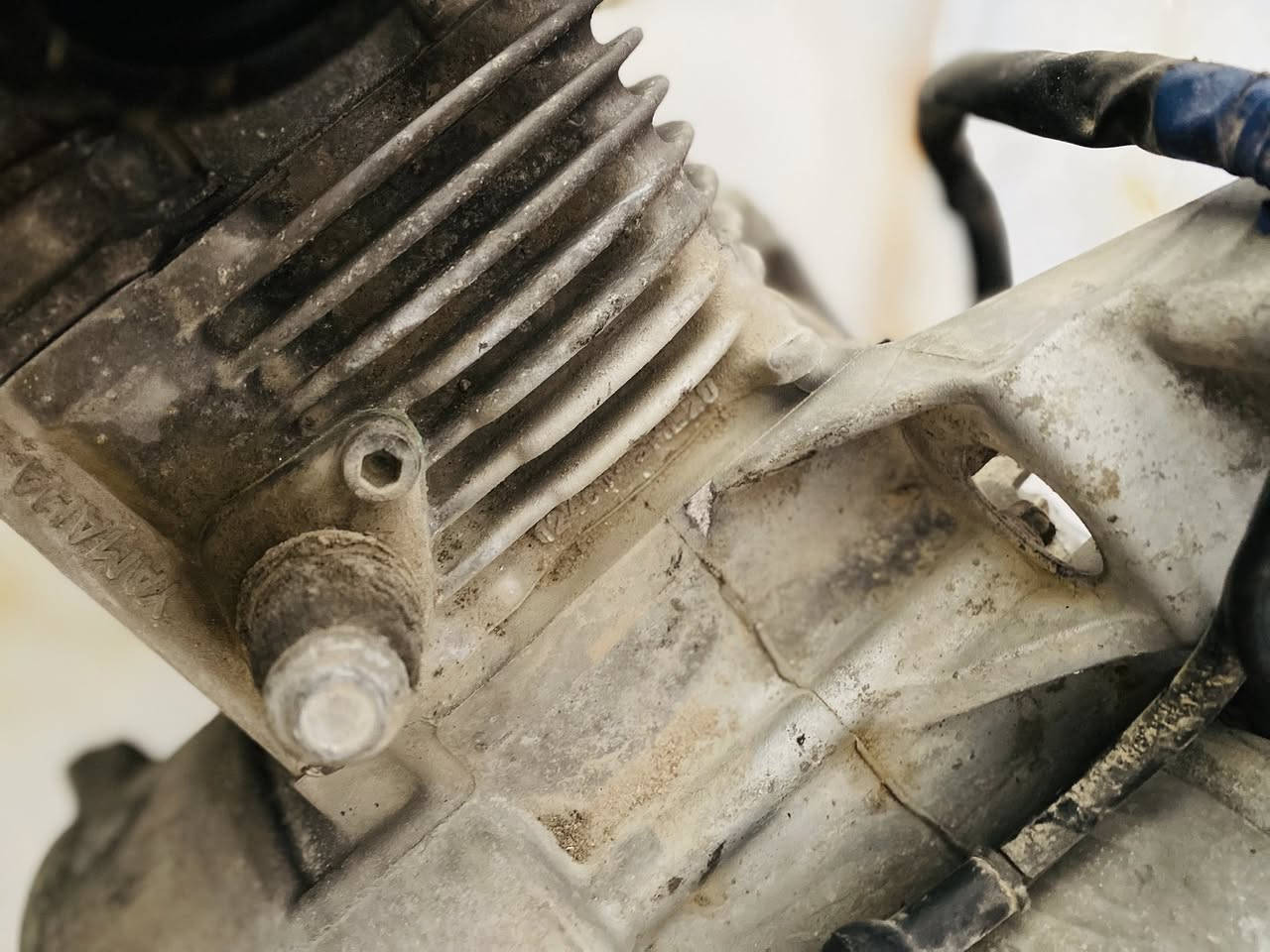 السلام عليكم طابوكه سكنس فحل لد نثيه مكفوله كفاله عامه مال رمبه نضيفه حيل الشراي يتصل *********** (ما مفتوحه )
