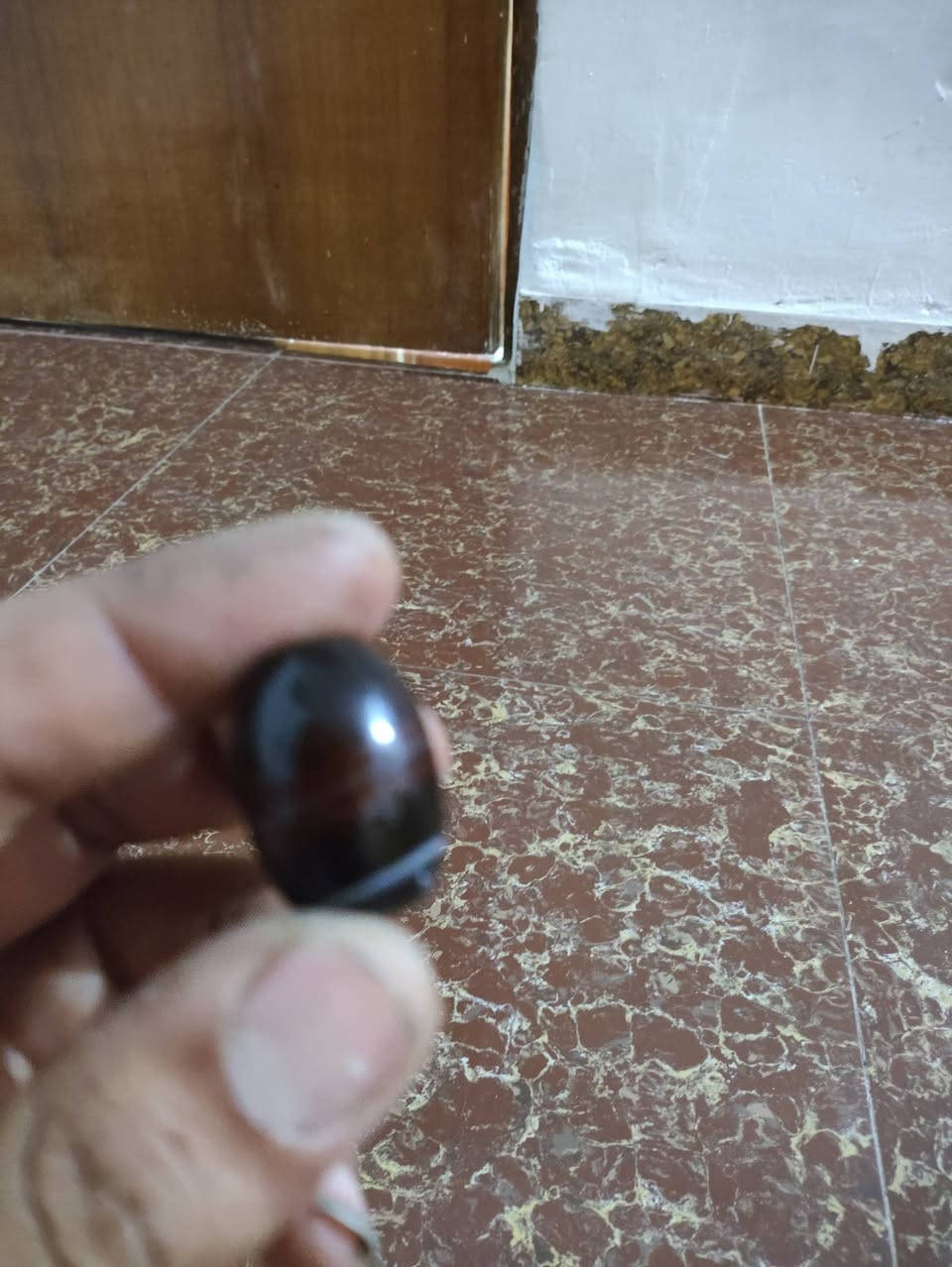 السلام عليكم محابس للبيع الي راغب بتفضل خاص عقيق يمان مشجر عقيق مشمشي توباز ازرق عقيق بقري اكلاده لي راغب يجي خاص


**إذا كنت صاحب هذا الإعلان وتريد حذفه لأي سبب، رجاءا أرسل رسالة إلى الدعم الفني**