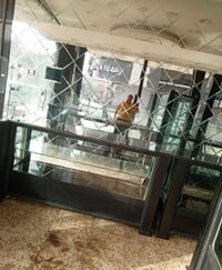 عارضات معرض • تركي ثقيل • شارع فلسطين