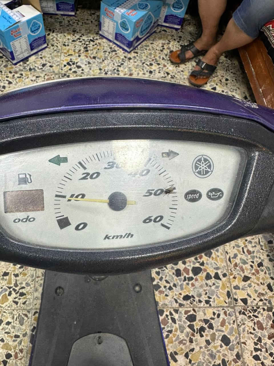 للبيع عصفوريه رمبه كفاله عامه شلعه معدل فول دراجه جديده السعر 675وبيها مجال العنوان الاعظنيه شراي يتصل ***********
